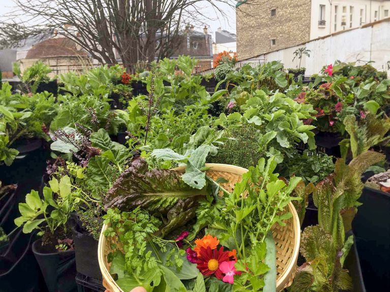 Paris Rooftop Days : découvrez 5 Rooftops insolites - crate garden 00