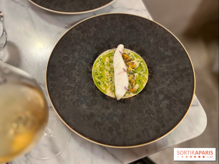 Tracé, Clément Vergeat - Turbot et moules