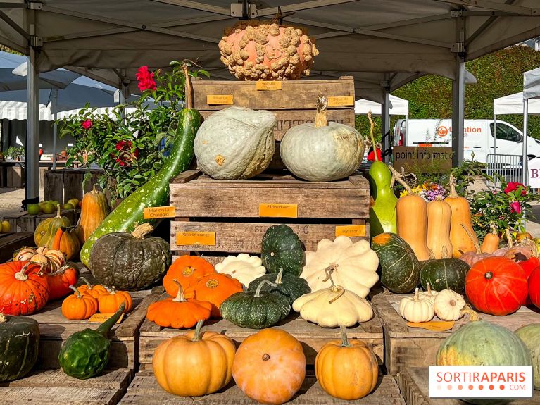 Automne au Potager du Roi - Citrouilles - Halloween