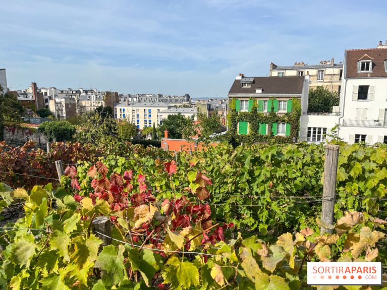Vignes Montmartre