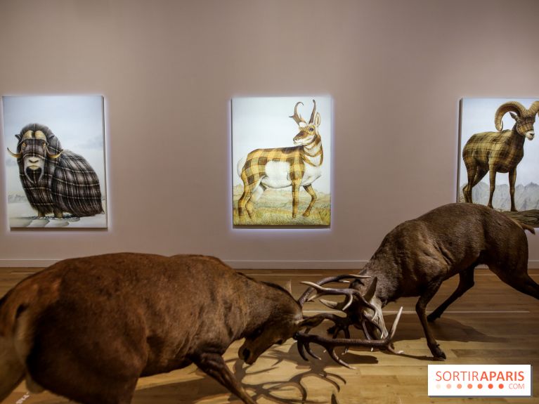 Sean Landers, les photos de son expo au Musée de la Chasse et de la Nature