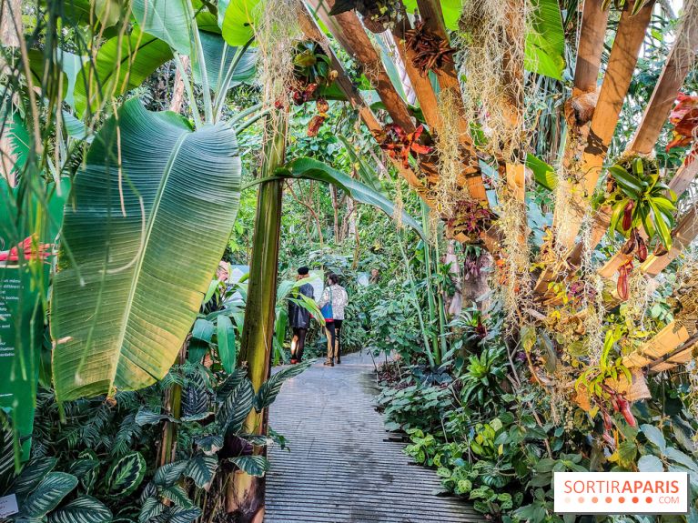 Automne Tropical 2023