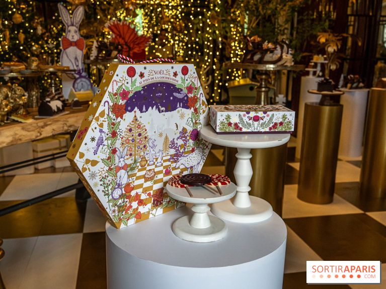 Bûches de Noël 2023 et galette 2024 de Lenôtre  - A7C0836