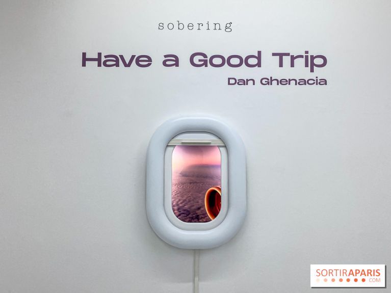 Exposition immersive Have a Good Trip Dan Ghenacia Sobering Galerie