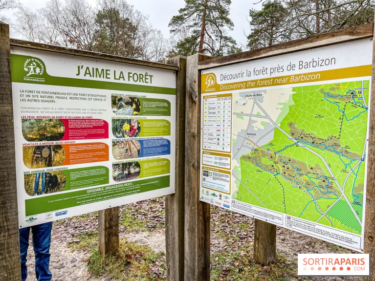 Le sentier de l'érosion à Fontainebleau - balade en forêt - IMG 6595
