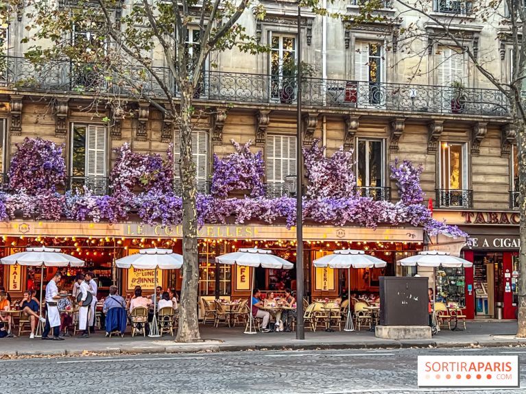 Visuel Paris 17e - IMG 1120