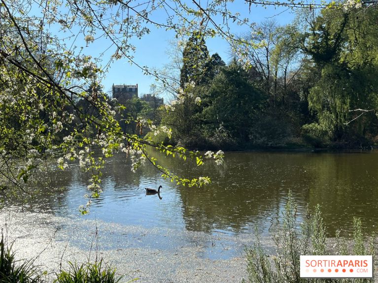 Lac de Saint-Mandé - nos photos - WhatsApp Image 2024 03 22 à 16.15.39 86c32a56