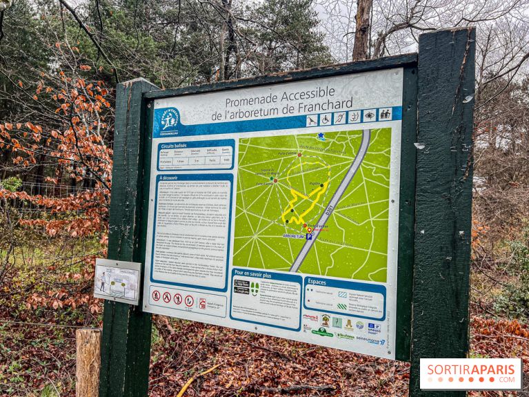 Arbor&Sens, l'Arboretum de Franchard en forêt de Fontainebleau - les photos - IMG 7897