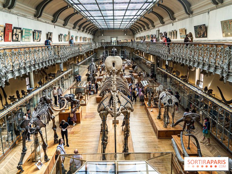 La Galerie de Paléontologie et d'Anatomie comparée du Muséum au Jardin des Plantes