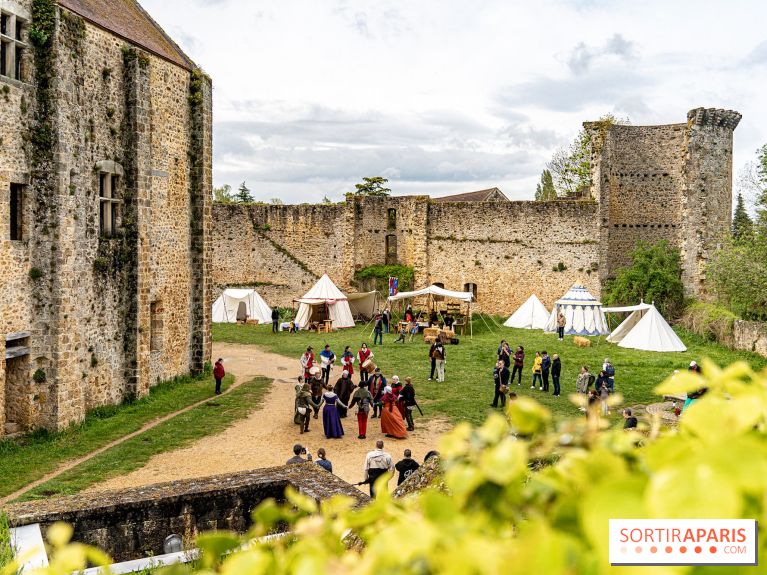 Les Rendez-vous de la Madeleine à Chevreuse -  A7C2549