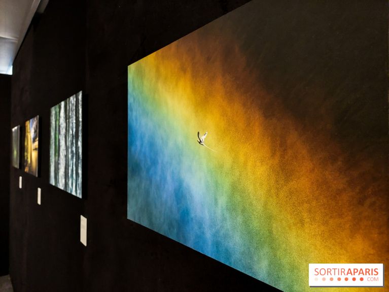 Reflets de la nature, nos photos de l'exposition - 20240507 141029