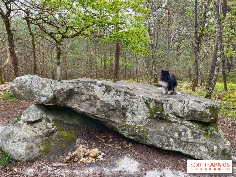 Dolmen de la Pierre Ardoue - IMG 0972
