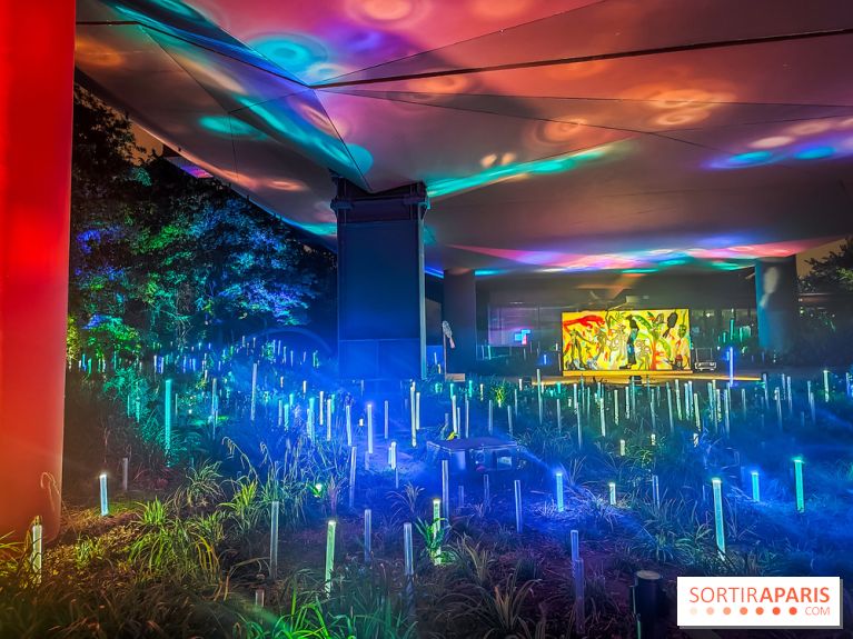 Nuit Blanche 2024 au musée du Quai Branly - IMG20240531231636