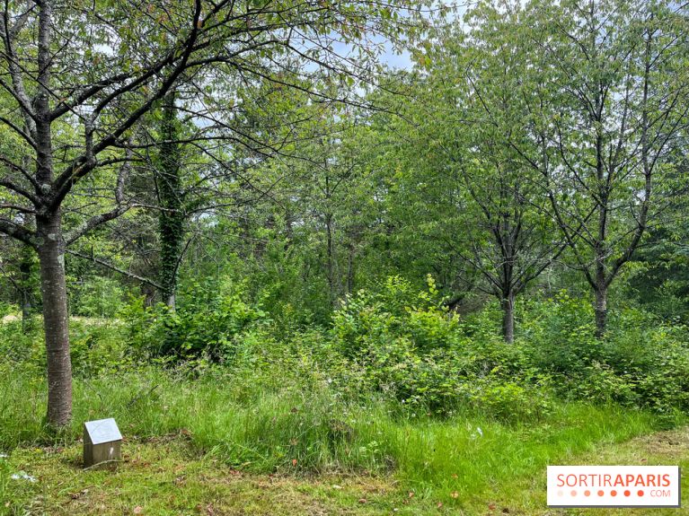 Arboretum de la Roche-Guyon - nos photos
