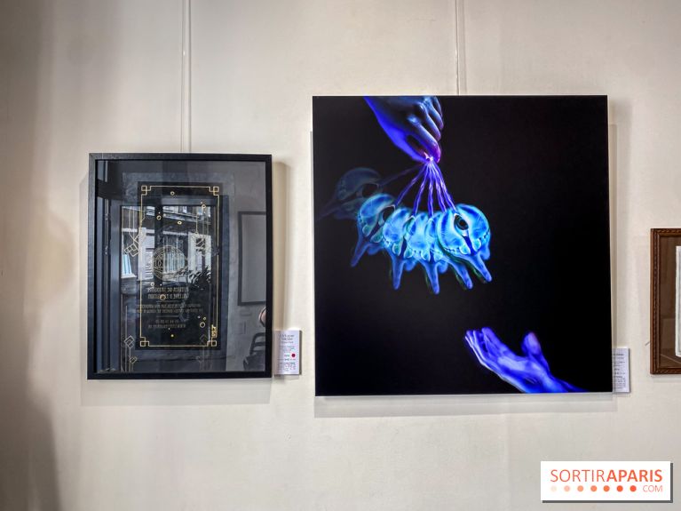 Le Cabinet de l’Oracle : l'exposition ésotérique à la galerie La Lison - IMG 8616