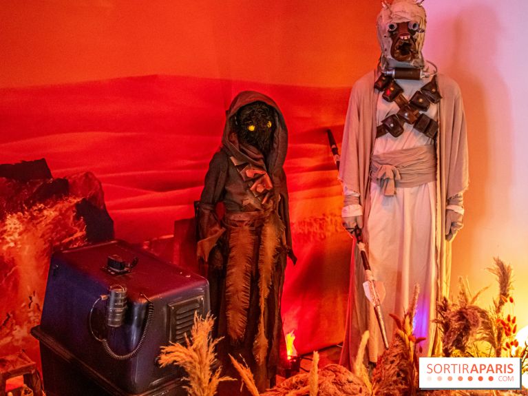 Star Wars : Fans of the Galaxy, l'expo à découvrir dans une galaxie lointaine, très lointaine