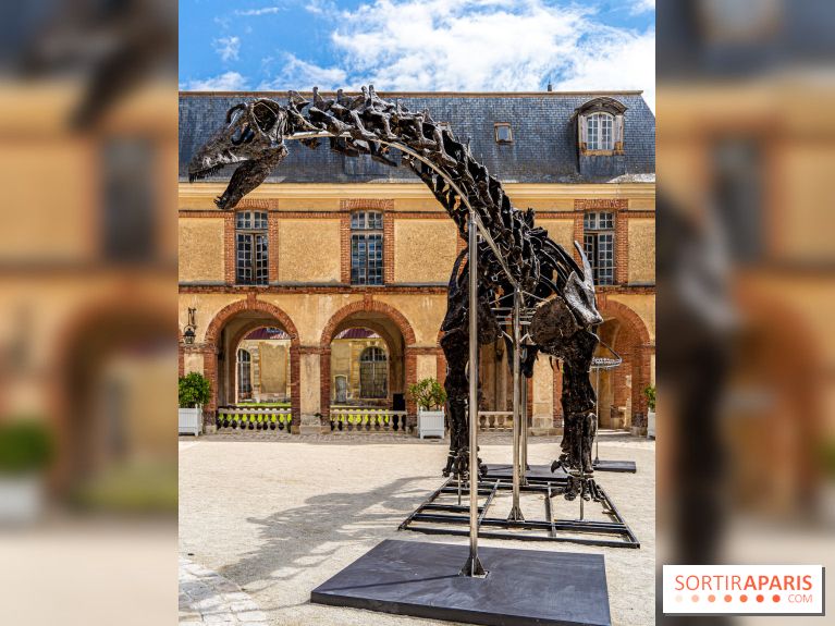Un dinosaure géant au Château de Dampierre - Jurassique au Château de Dampierre -  A7C8899