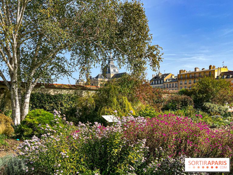 Les Saveurs du Potager du Roi à Versailles : marché de fruits & légumes, expositions et animations - image00085
