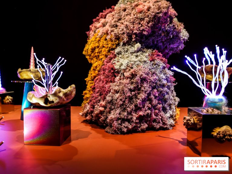 “Forêts astrales” : nos photos de l'exposition gratuite à voir à l'Institut suédois à Paris