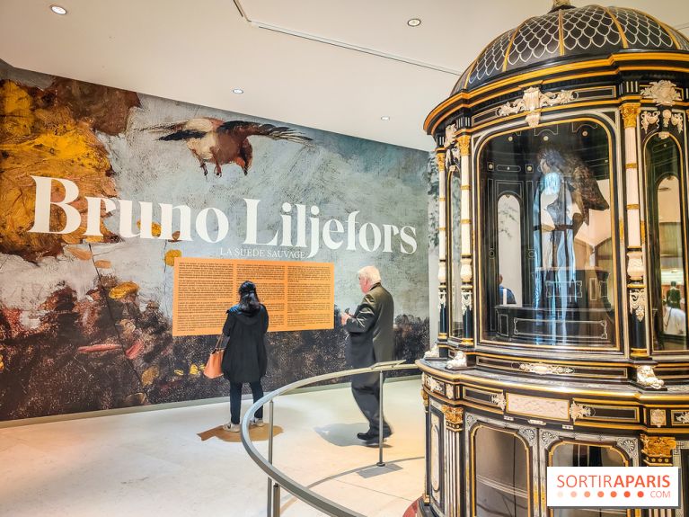 Bruno Liljefors, la Suède sauvage : l'exposition poétique se dévoile en images au Petit Palais - IMG20240930093907