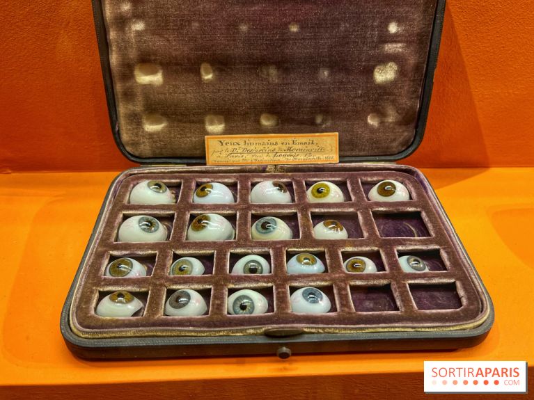 Merveilles - Sèvres - IMG 5130