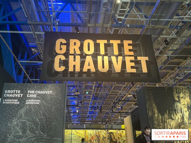La Grotte Chauvet à la Cité des Sciences, nos photos  - image00018