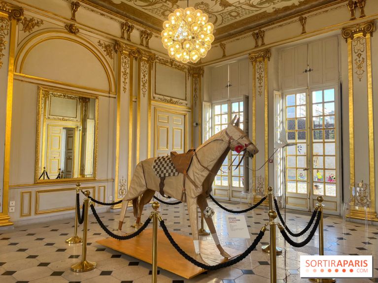 La faune en plis - nos photos - image00030