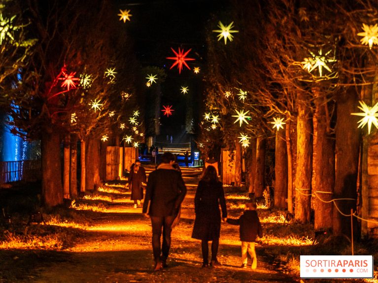 Lumières en Seine 2024, le parcours de lumières féérique et animé  -  A7C6590