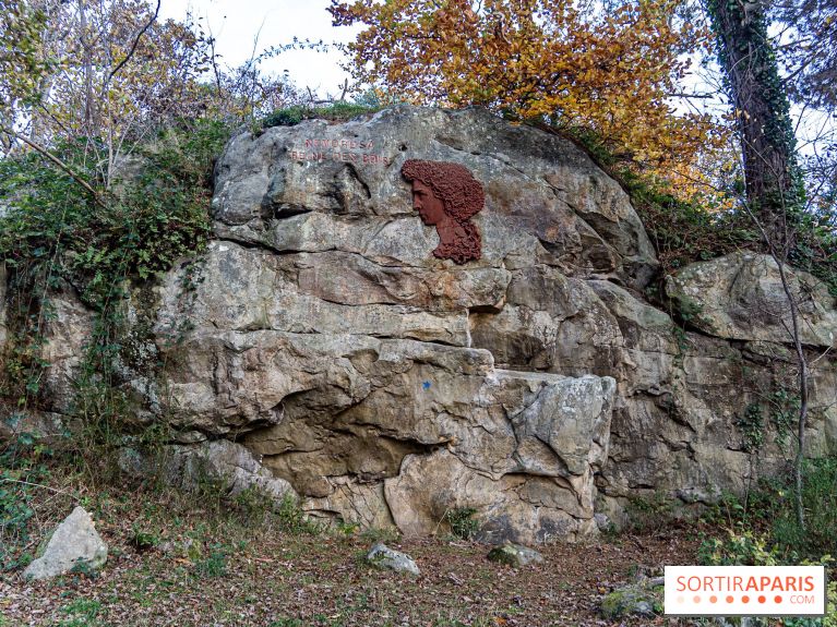 Randonnée à Fontainebleau : le sentier sur les pas de Denecourt jusqu’à la Tour Denecourt -  A7C7554