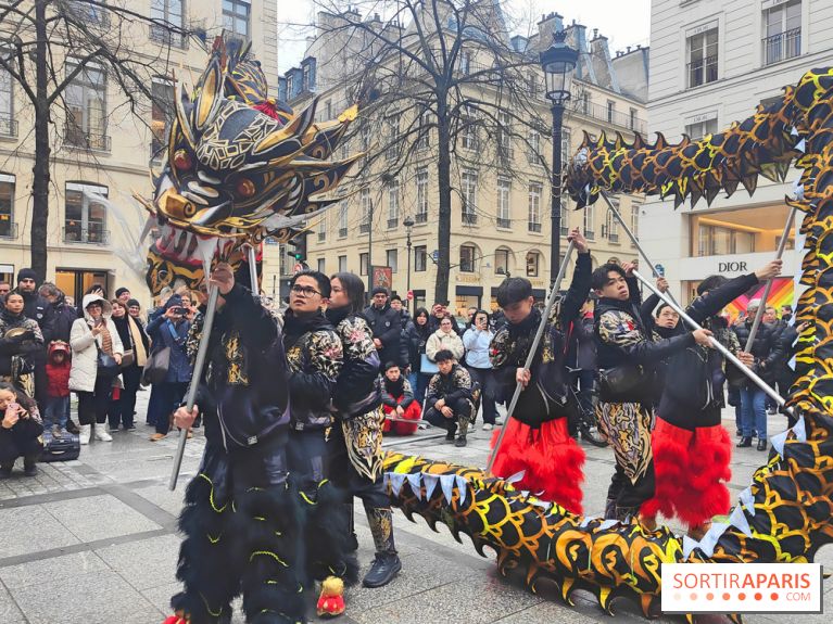Défilé du Nouvel An Lunaire-Chinois Faubourg Saint-Honoré  - fotor 1738762270959