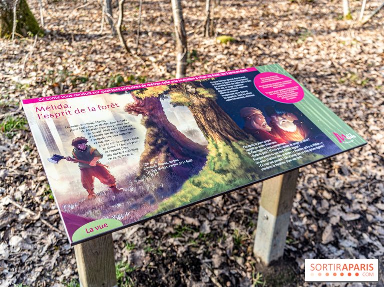 Balade sentier : Conte de Mélida, l'esprit de la forêt en forêt de Méridon (78) - A7C02306