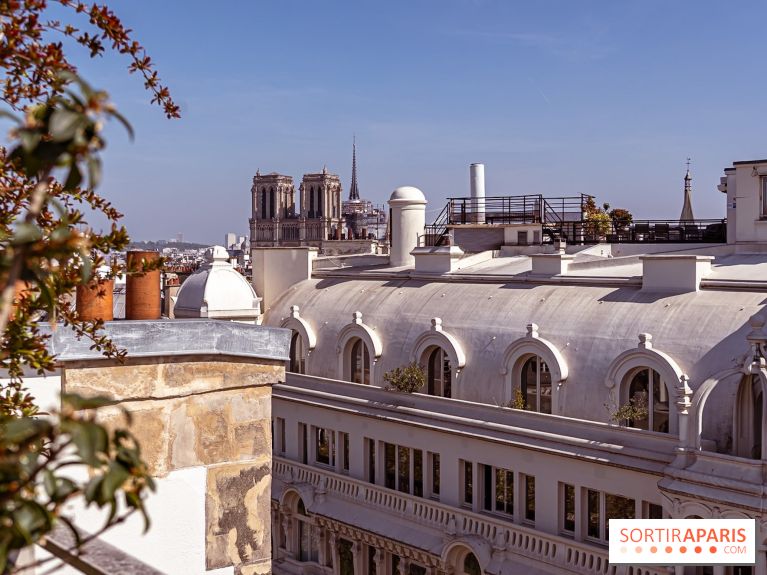 Hôtel Dame des Arts à Paris - A7C06287