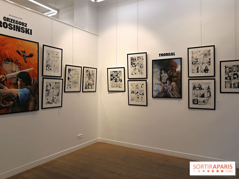 Rétrospective Grzegorz Rosinski, nos photos de l'expo gratuite à Paris - Expo Thorgal 18 fotor 20250425115835