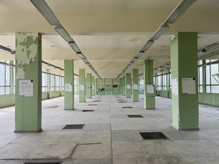 Ventsislav Yankoff - 6 CJC center