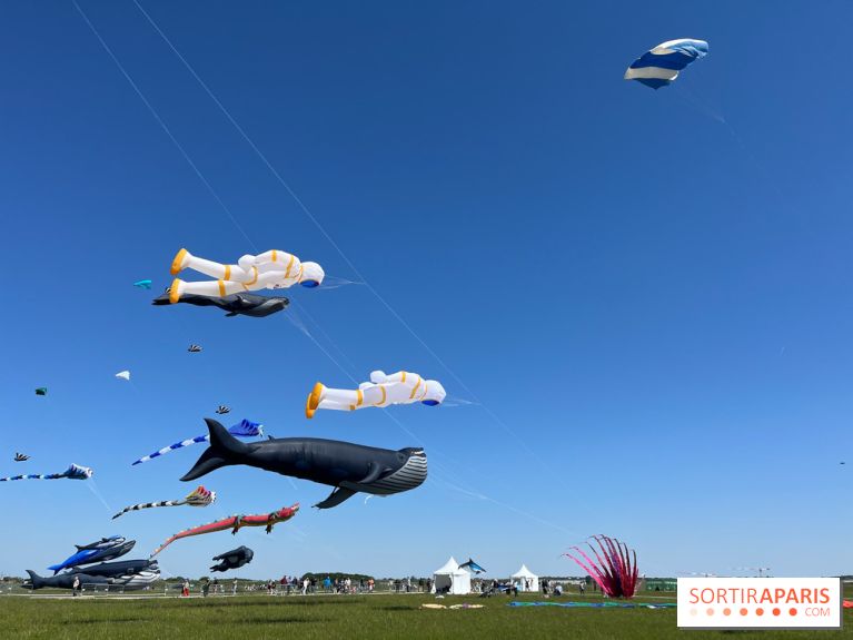 Festival de Cerfs-Volants à la Base 217 - IMG 2186