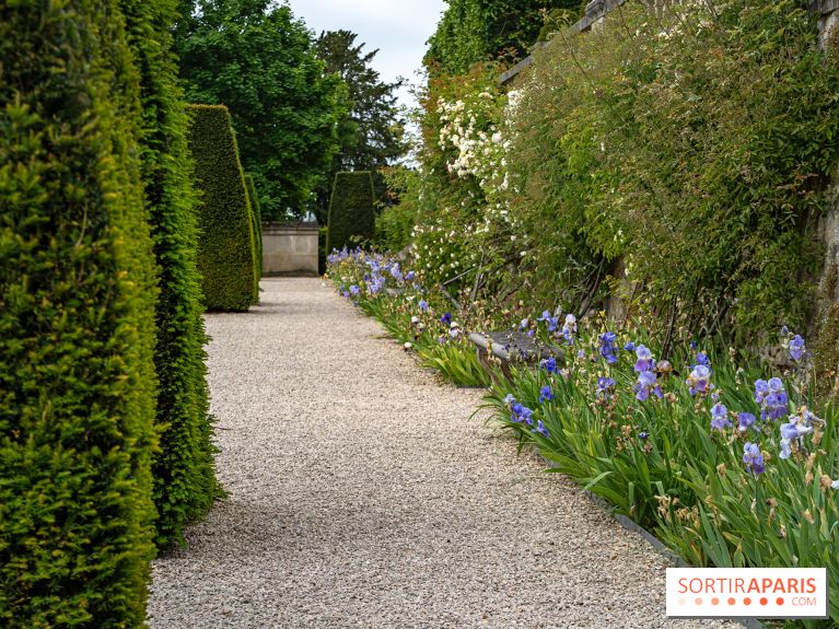 Exposition Van Gogh, les derniers voyages - photos - A7C08679