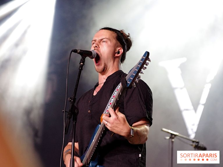 Hellfest 2025 - Samedi 21 juin, nos photos - Vestige