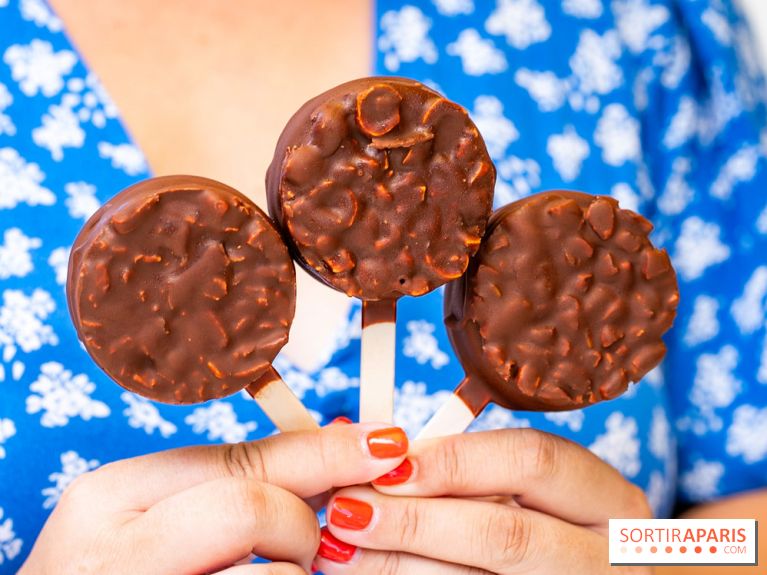Les bouchées glacées de la Chocolaterie William Artigue, les esquimaux gourmands - A7C04178