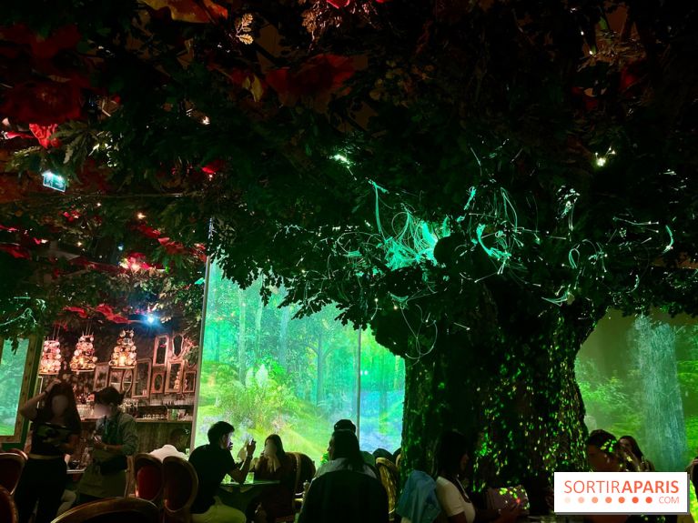 Wonderwoods