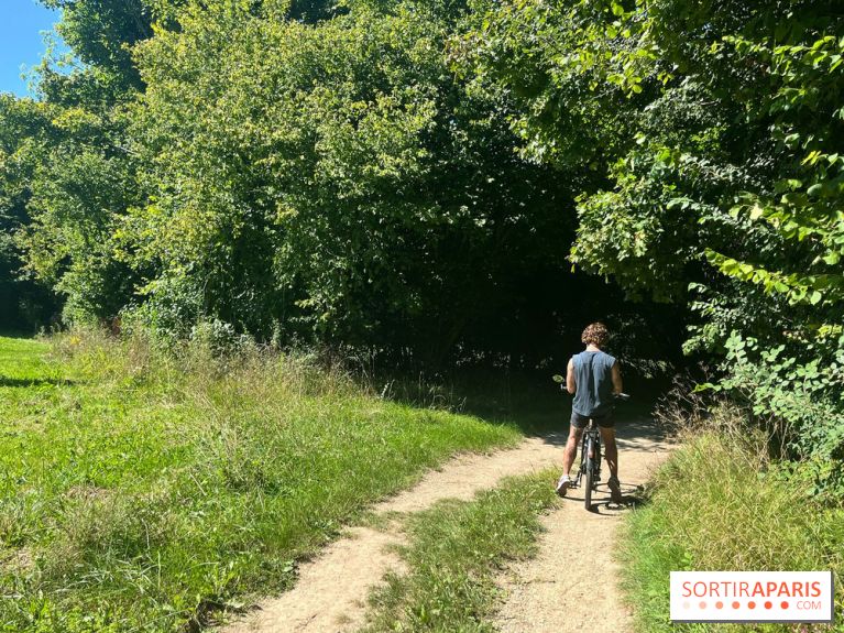 Vélo en bords de Marne - nos photos - 08AD9137 E902 47D9 921D 700C55B8FEB8