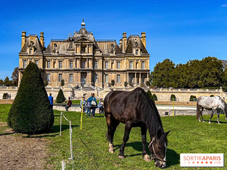 Tous en piste ! à Maisons-Laffitte (78): poneys, calèche et spectacles équestres gratuits au château - IMG 8275 jpg