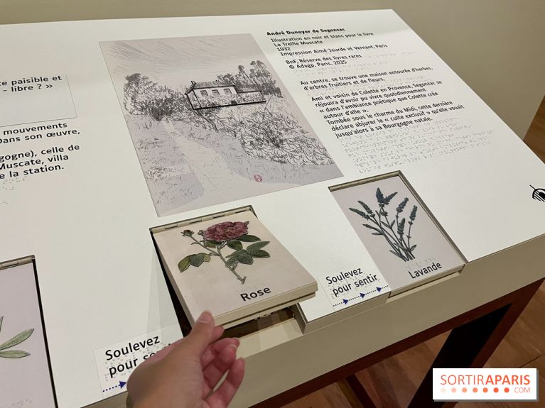 Les mondes de Colette - IMG 5323