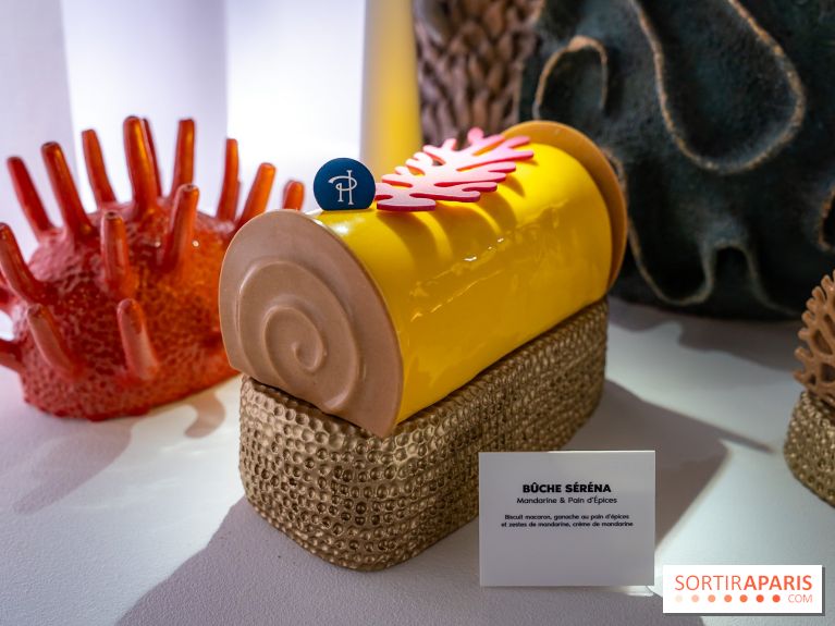 Bûches de Noël et créations de fête 2025 de Pierre Hermé : les Abysses - A7C07827