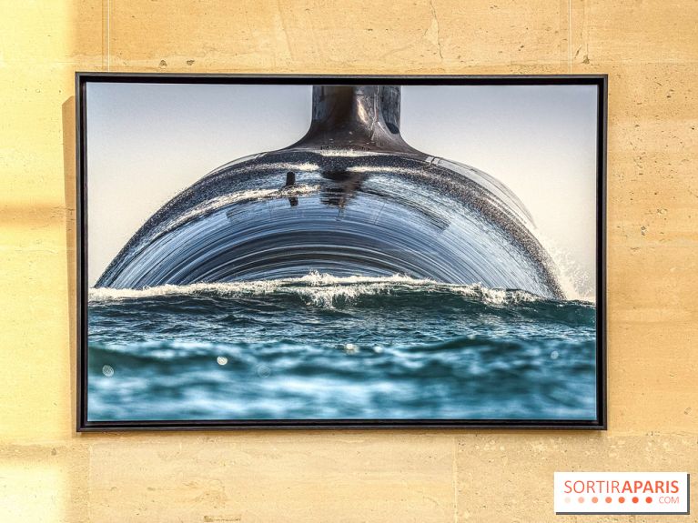 Les Peintres de la Marine : l’exposition dédiée à l’univers maritime à l’Espace Richaud à Versailles - IMG 1865