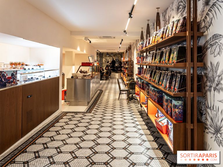 salon de thé chocolatier Chapon Saint-Germain-En-Laye - Yvelines:  chocolat chaud et gourmandises - photos - A7C01858