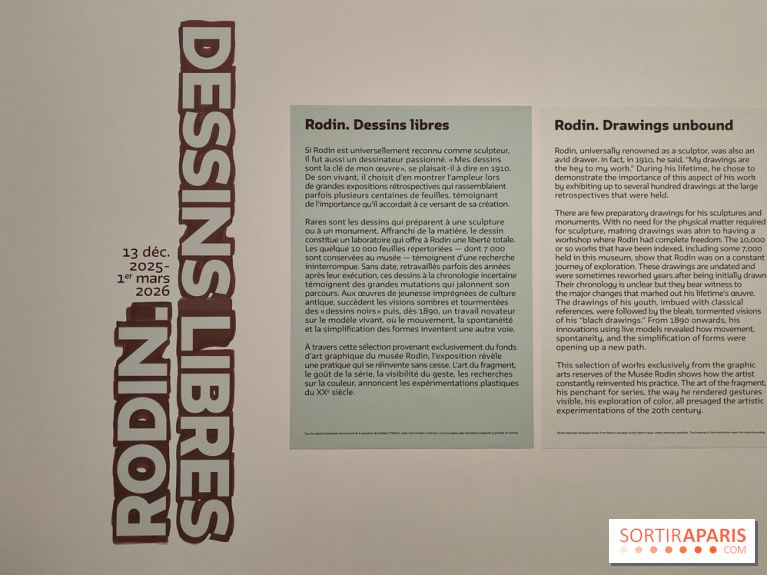 Rodin, dessins libres : une exposition d'œuvres rarement montrées au musée Rodin se dévoile