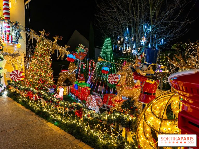 Ce passionné en Essonne transforme son jardin en Village de Noël à visiter gratuitement