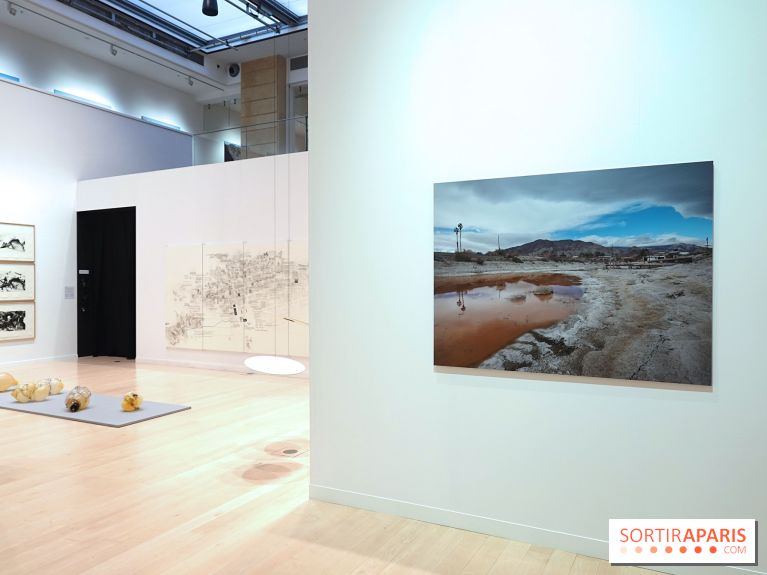 Exposition Contraste et indifférence au Centre culturel canadien - nos photos