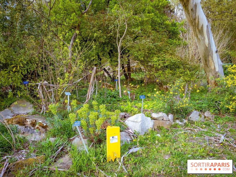 Le jardin botanique de Launay et arboretum de l'Université Paris Saclay à Orsay - les photos - A7C09556
