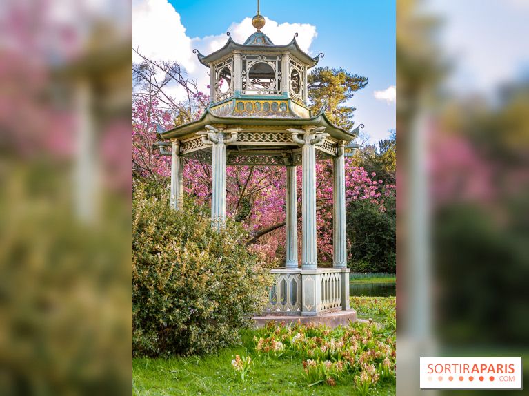 Le Parc de Bagatelle au printemps, cerisier, tulipes et jonquilles - photos - A7C00829